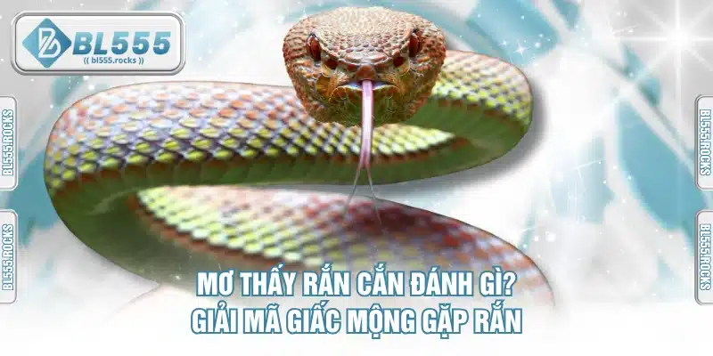 Mơ Thấy Rắn Cắn Đánh Gì? Giải Mã Giấc Mộng Gặp Rắn